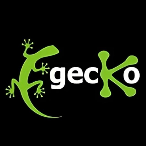 Gecko Solutions